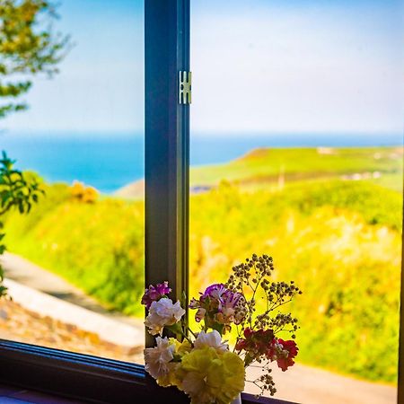 Polrunny Farm Elderberry Cottage With Sea View Boscastle Exteriör bild