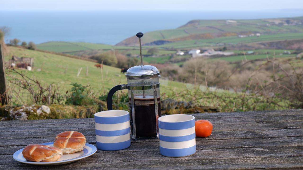 Polrunny Farm Elderberry Cottage With Sea View Boscastle Exteriör bild
