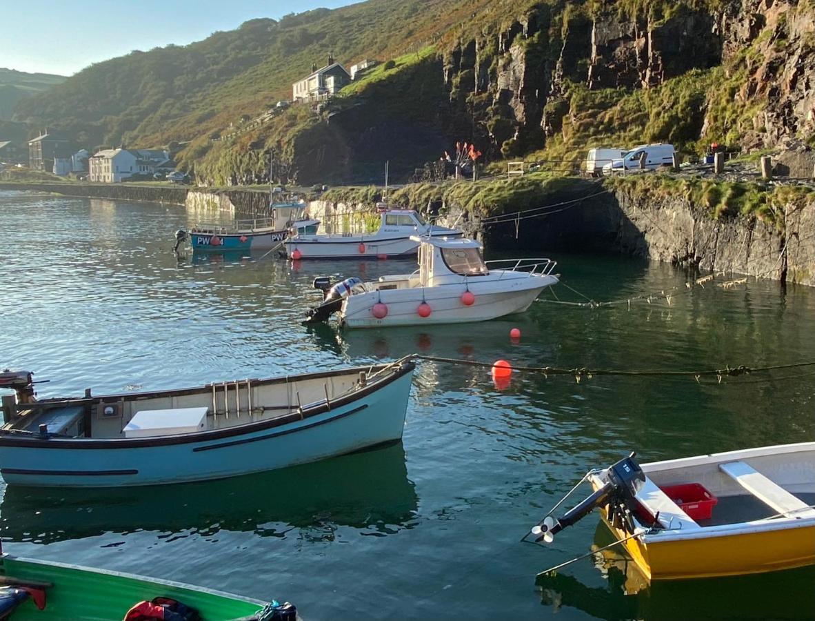 Polrunny Farm Elderberry Cottage With Sea View Boscastle Exteriör bild