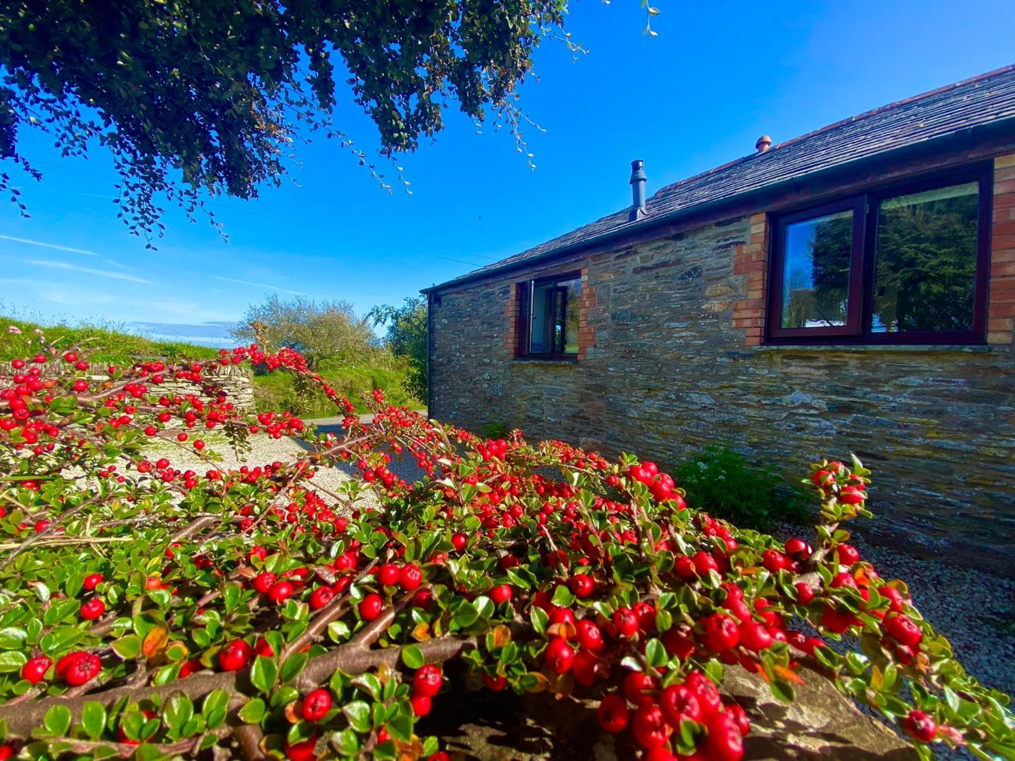 Polrunny Farm Elderberry Cottage With Sea View Boscastle Exteriör bild